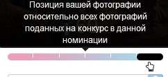 242x111