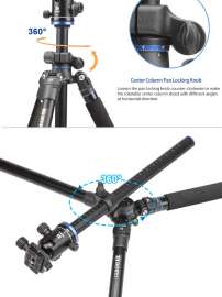 750x1000