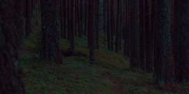 2555x1278