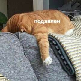 624x624