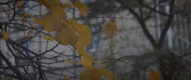 2048x858