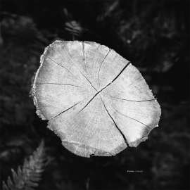 1200x1200