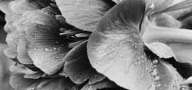 1108x525
