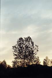 1622x2409
