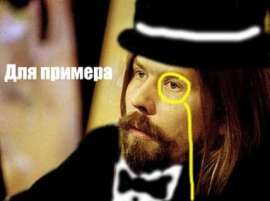 428x319