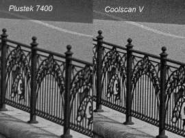 800x598