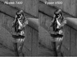 800x599