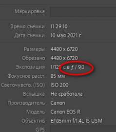 300x339