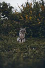 4000x6000
