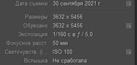 325x156