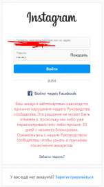 364x649