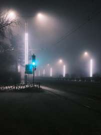 3773x5030