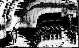 1235x757