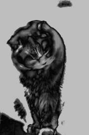 1932x2904