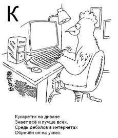 529x621