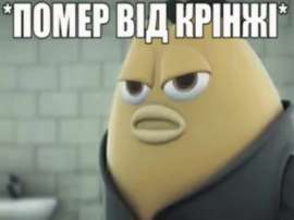 498x373