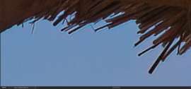1223x571