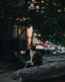 4000x5082