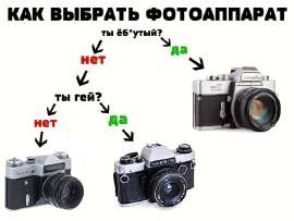 593x447