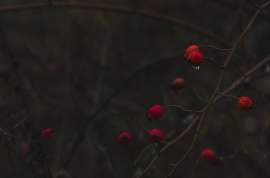 2563x1697