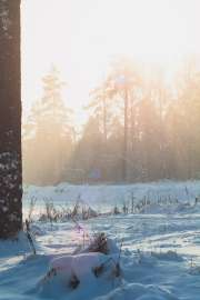 4000x6000