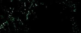 1920x800