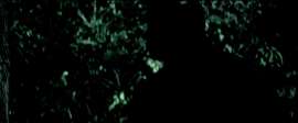 1920x800