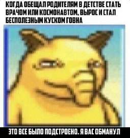 568x600
