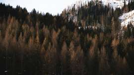 2783x1565