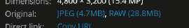 462x69