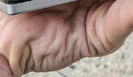 447x259