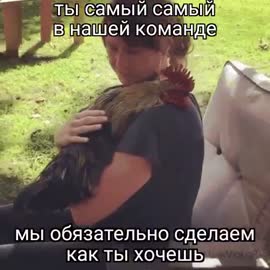 498x498