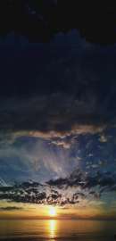 1204x2494