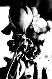 1199x1800
