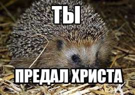 500x352