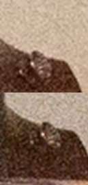 640x1336