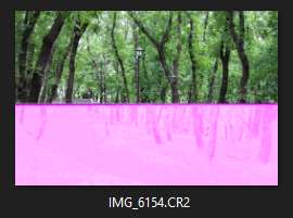 272x203