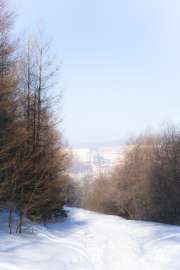 4000x6000