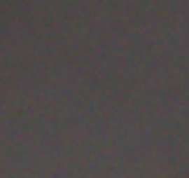 423x399