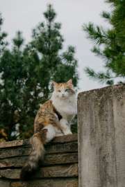 4000x6000