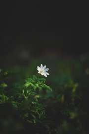4000x6000