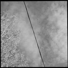 1200x1200
