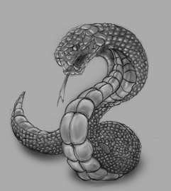 1729x1930