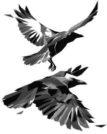 600x752