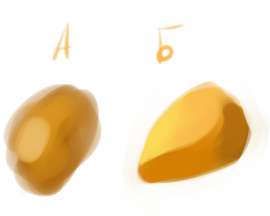 696x557