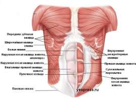 550x400