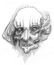 1323x1606