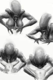 800x1200
