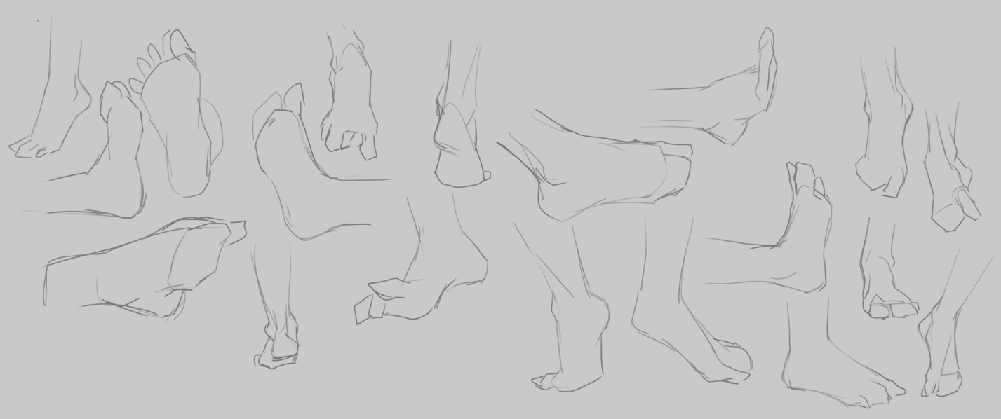 1427x598