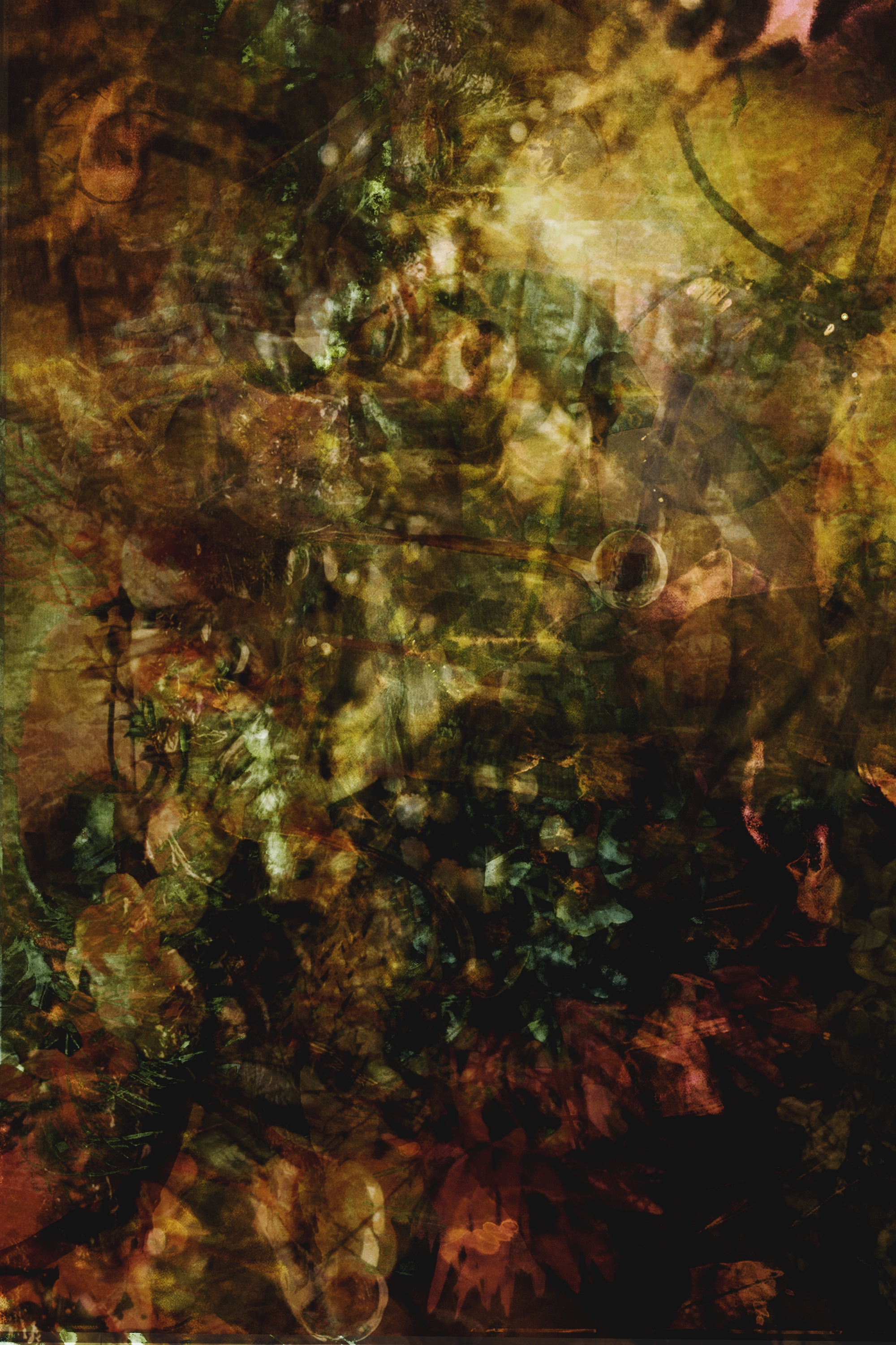 2000x3000